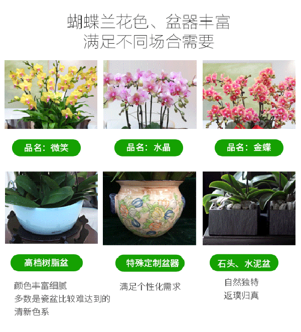 1-1F41410501U17