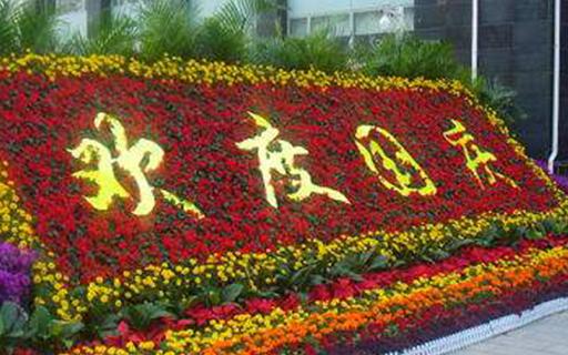 節日花壇